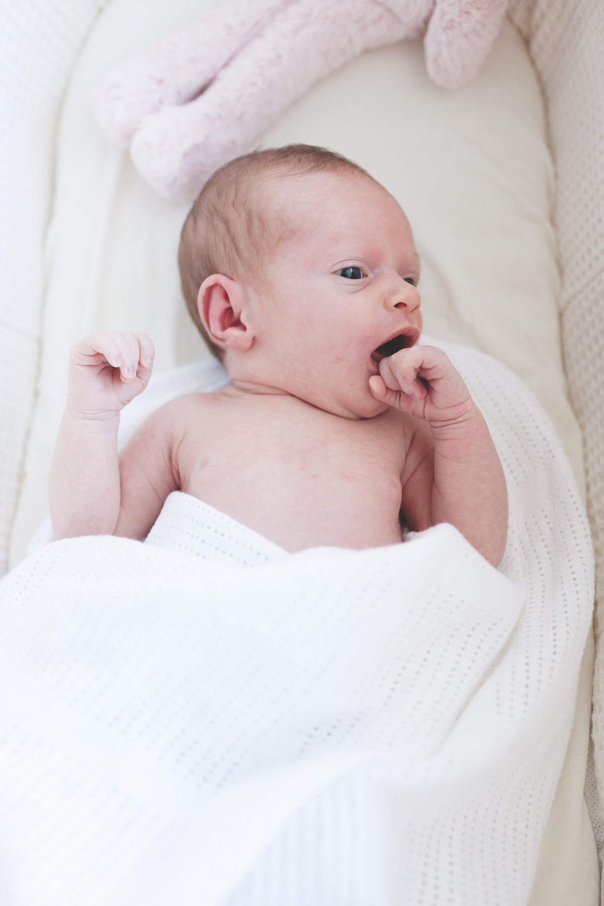 Aby Rafter Photography | Dorset Newborn Baby Photo Shoots