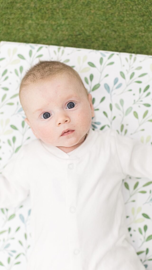 Christchurch Under One’s Club 🤍

It was so lovely to see some of the babies I photographed as newborns, and to meet more little ones at this new under one’s club in Little Treasures Stay and Play in Christchurch. 

If you are new mum in the BCP area I would highly recommend going along. It’s a chance to meet other mum’s, have coffee and a cake and @babymamanodrama_  is inviting along different guest speakers to each session. 

I hope to join again in a few weeks time. 

Would be lovely to see some of you there! 💛

@snugglebugsdorset @bcpmumbler
@littletreasuresvillage
@treatsbykaris

#localmums #under1sclub
#babymamanodrama #under1sclub #abyrafterphotography #christchurchuk
#firstyearofmotherhood #newmum #ftm #stm #bcp #mumfriends
#motherhood